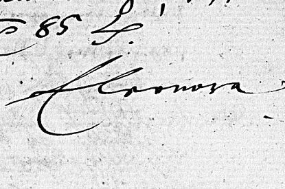 Z 6, Anhalt. F. Eleonore, geb. von Württemberg Nr. 19: Eigenhändige Unterschrift der Fürstin. Mit Klick zum Digitalisat im Viewer springen.